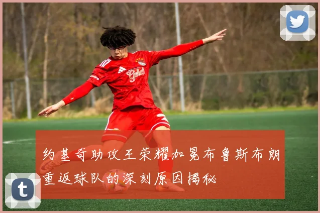 约基奇助攻王荣耀加冕布鲁斯布朗重返球队的深刻原因揭秘